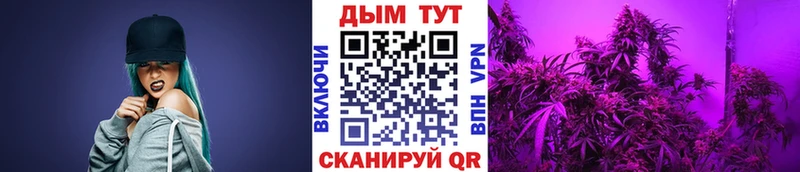 Каннабис Гвардейск