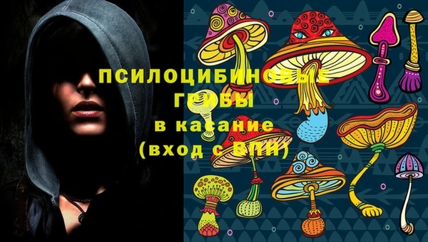 мескалин Апатиты