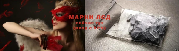 крисы Медвежьегорск