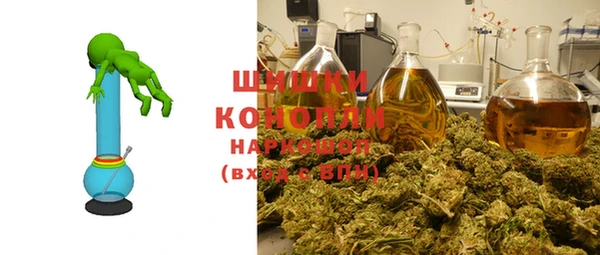 крисы Медвежьегорск