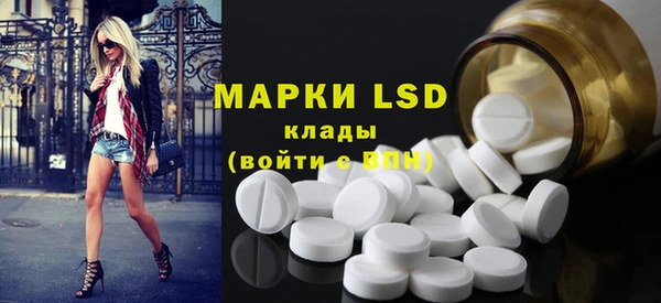 крисы Медвежьегорск