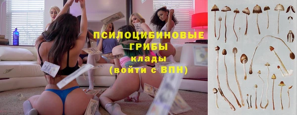 крисы Медвежьегорск