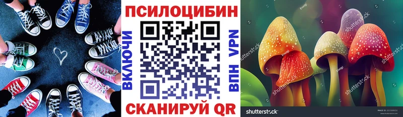 гидра сайт  купить наркотики сайты  Гвардейск  Галлюциногенные грибы Magic Shrooms 